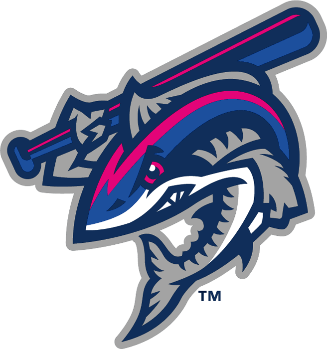 Pensacola Blue Wahoos 2012-Pres Secondary Logo iron on transfers for clothing